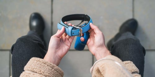 guide pet owners