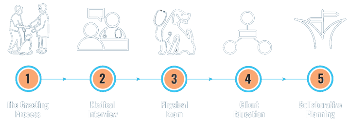 exam flow model (1)