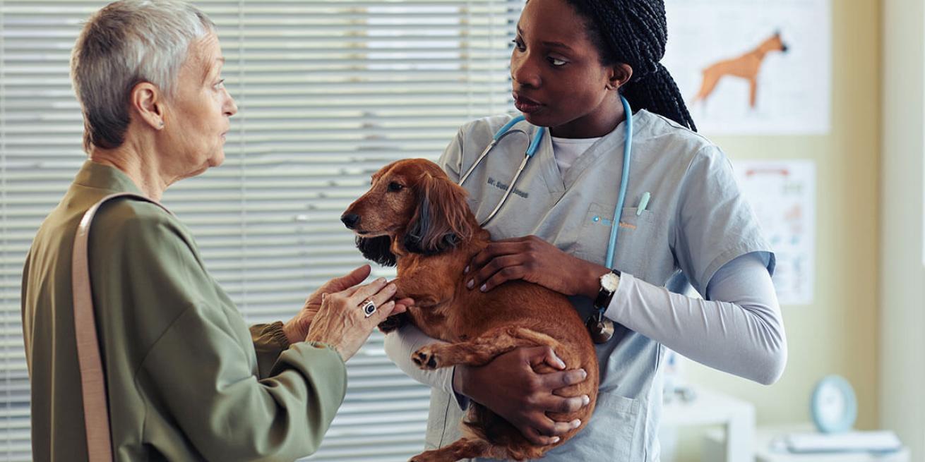 Veterinarian aiding client with pet care