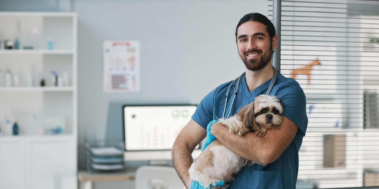 veterinary staff