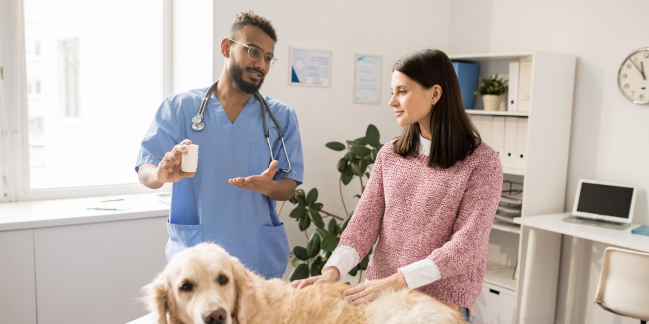 veterinarian selling